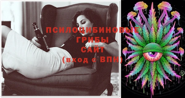 бошки Надым
