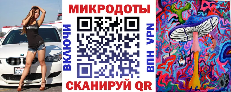 где купить   Грайворон  Галлюциногенные грибы Psilocybine cubensis 